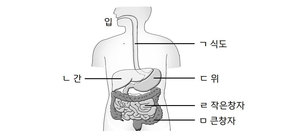 7cec1c0259edec93b7a68740e39d02b2_1731778545_4514.png